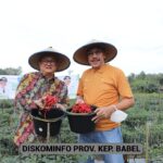 Pj Gubernur Panen Cabai di Puding Besar, Dorong Masyarakat Lebih Bersemangat Bertani