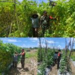 Babinsa Berikan Semangat dan Motivasi Kepada Petani