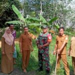 Jaga Kelestarian Alam, Babinsa Koramil 414-04/Membalong Bersama Pemdes Laksanakan Penghijauan