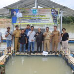 Bupati Algafry Panen Perdana Ikan Air Tawar di Lahan Bekas Galian Tambang Timah