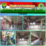 Babinsa Koramil 414-01/Tanjung Pandan Komsos dengan Peternak Ayam Petelur