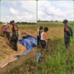 Babinsa 414-03/Gantung Laksanakan Pendampingan Hanpangan 