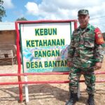 Babinsa Bantan Sambangi Kebun Ketahanan Pangan Milik Desa