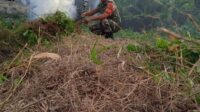 Jalin Kebersamaan, Babinsa Koramil 04 Membalong Bantu Warga Bersihkan Rumput Liar 