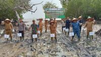 Tanamkan Mangrove di Desa Tukak, Sekda Eddy Ajak Jaga Kelestarian Lingkungan