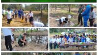 Peringati Hari Mangrove Sedunia, Babinsa Ikuti Penanaman Mangrove di Pantai Kuale Mengkubang