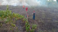 Gerak Cepat, Babinsa dan Damkar Padamkan Kebakaran Lahan