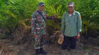Babinsa Koramil 414-04 Membalong Komsos dengan Petani Sawit
