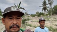 Jalin Keakraban dengan Warga, Babinsa Dampingi Petani di Wilayah Desa Binaan