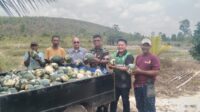 Danramil 02/Manggar Bersama Camat dan Kades Renggiang Gelar Komsos dengan Kelompok Tani Harapan Sejahtera