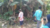 Berantas Sarang Nyamuk, Babinsa Bersama UPT Puskemas Laksanakan Pembersihan 