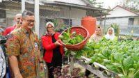 Pj Wali Kota Pangkalpinang Panen Sayuran Hidroponik