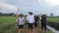 Subsidi Pupuk Naik! Pj Gubernur Safrizal : Apresiasi Untuk Mentan Turut Majukan Pertanian Babel