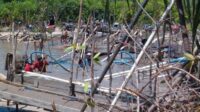 Puluhan Tambang Timah Ilegal Beraktivitas di Rasau, JA Ngaku Sebagai Pengurus, AF Selaku Pembeli