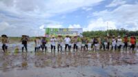 Tingkatkan Produksi Sawah di Babel, Perlu Optimalisasi Lahan