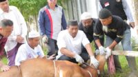 Hari Raya Idul Adha 1445 H, Plh Pj Gubernur Babel Sembelih Hewan Kurban