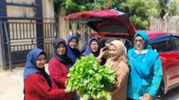 Panen Berkah, PKK Cikar Berbagi Sayur ke Panti Asuhan dan Lansia