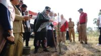 Dukung Program Semarak Babel 2024, Pemkot Pangkalpinang Tanam 700 Pohon