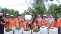 Pj Gubernur Safrizal Berupaya Kembalikan Kejayaan Lada Bangka Belitung 