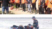 BPBD Bangka Tengah Tanam 1000 Mangrove di Pantai Terentang
