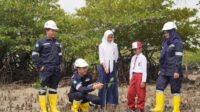 Komitmen Kelestarian Lingkungan, PT Timah Gencar Tanam Mangrove