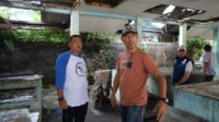 Pj Walikota Pangkalpinang Tinjau Pasar, Fokus pada Perbaikan Fasilitas dan Penguatan Daya Beli