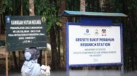 Mengenal Flora dan Fauna Bukit Peramun, Surga Tersembunyi di Belitung