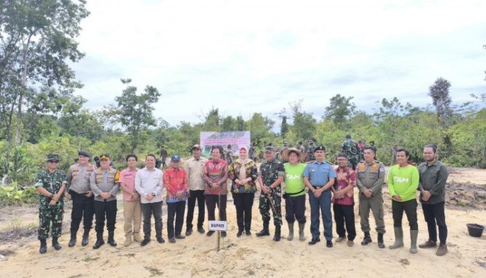 Rehabilitasi DAS di Basel, PT TAM dan Korem 045 Gaya Tanam Pohon Kayu Putih