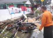 Tragedi di Pangkalpinang, Dua Pengendara Tewas Tertimpa Pohon Tumbang