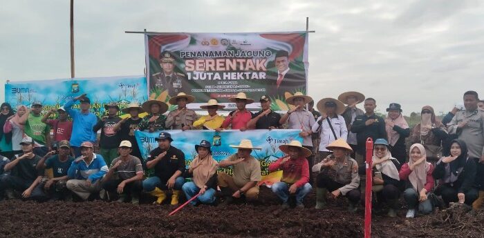 Dukung Ketahanan Pangan, PT Timah dan Polsek Kundur Utara Gelar Penanaman Jagung Serentak