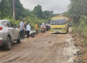 Pajak Dinikmati Daerah Lain, Truk CPO Hancurkan Jalan di Basel, Rina Desak Ganti Plat BN