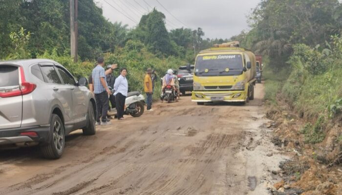 Pajak Dinikmati Daerah Lain, Truk CPO Hancurkan Jalan di Basel, Rina Desak Ganti Plat BN