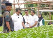 Berkat PT Timah, Warga Kundur Sukses Bangun Ketahanan Pangan dengan Hidroponik