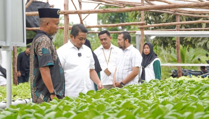 Dukung Ekonomi Lokal, PT Timah Bantu Perempuan Desa Sawang Laut Kembangkan Hidroponik