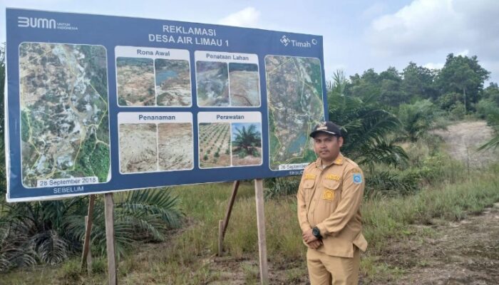 PT Timah Bersama Pemdes Air Limau Sulap Lahan Bekas Tambang Jadi Perkebunan