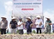 Panen Raya Bawang Merah, Pj Gubernur Babel Puji Komitmen PT Timah Dukung Ketahanan Pangan