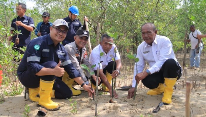 PT Timah Tanam 2.500 Bibit Mangrove di Karimun, Jaga Ekosistem dan Cegah Abrasi