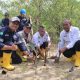 PT Timah Tanam 2.500 Bibit Mangrove di Karimun, Jaga Ekosistem dan Cegah Abrasi