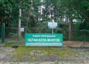 Hutan Kota Mentok, Wujud Komitmen PT Timah Jaga Flora dan Fauna Endemik Pulau Bangka