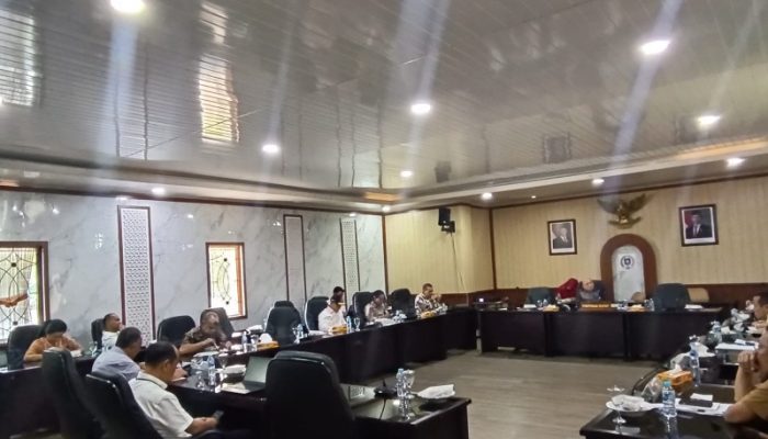 Rina Tarol: Banyak Potensi PAD Terabaikan, Jangan Hanya Kejar Pajak Kendaraan