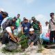 PT Timah Tanam Pohon di Batu Tunggal, Dukung Wisata Hijau dan Berkelanjutan