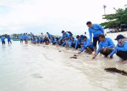 Dukung Pariwisata dan Ekosistem Laut, PT Timah Bersama AAI Sumbagsel Lepasliar Tukik Sisik di Pulau Kelayang
