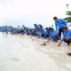 Dukung Pariwisata dan Ekosistem Laut, PT Timah Bersama AAI Sumbagsel Lepasliar Tukik Sisik di Pulau Kelayang