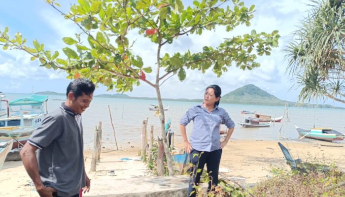 Jetty Rusak di Pantai Puding, Rina Tarol Janji Perjuangkan Pembangunan Baru