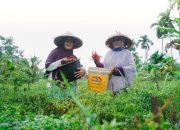 Dari Desa untuk Bangsa, PT Timah Dukung Kemandirian Ekonomi Masyarakat Lewat Pemberdayaan Potensi Lokal