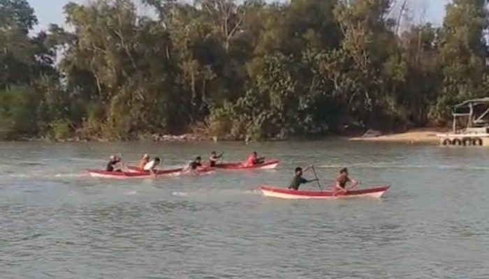 PT Timah Dukung Tanam Mangrove dan Lomba Dayung, 100 Tim Siap Berlaga di Bangka