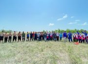 Aksi Nyata di Hari Mangrove Sedunia, PT Timah dan HNSI Tanam 4.000 Bibit