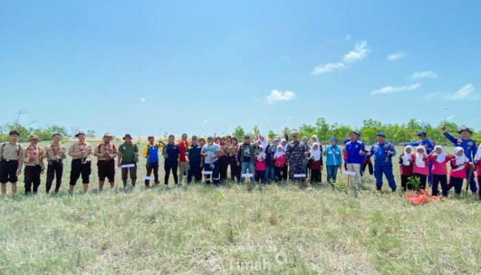 Aksi Nyata di Hari Mangrove Sedunia, PT Timah dan HNSI Tanam 4.000 Bibit