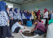 PT Timah Latih Ibu-ibu Sungailiat Olah Sampah Jadi Kompos Bernilai, Jaga Lingkungan Sambil Tambah Cuan