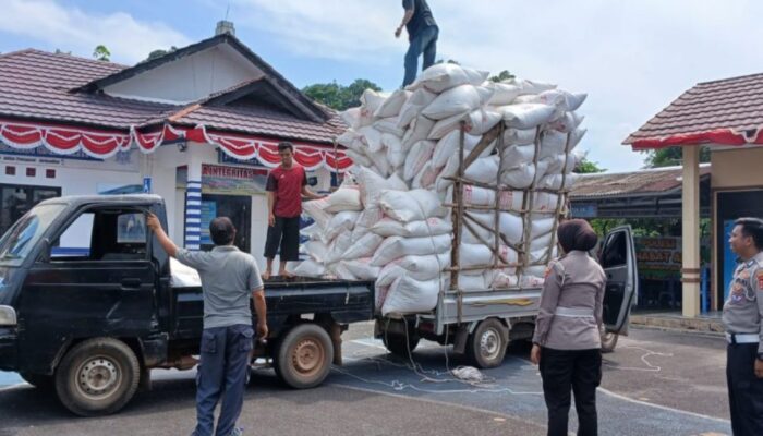 Polisi Tilang Sopir Pick Up ‘ODOL’ di Jalan Raya Gadung Bangka Selatan
